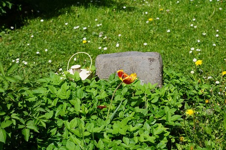 Bad Godesberg